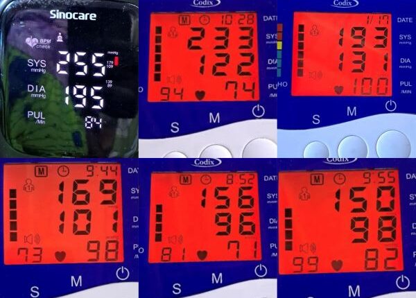 Alarming blood pressure levels measured at Mallam Market