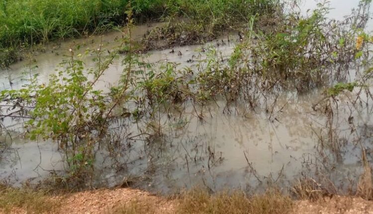 Environment Water Turbidity 2