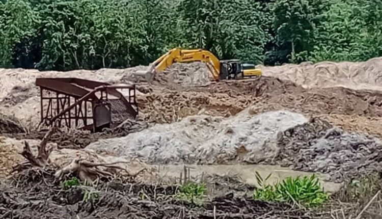 Farmers Chinese