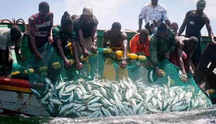 Social Fishing Keta