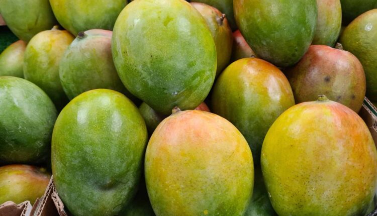 Economics Mango Price 1